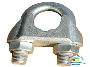 DIN741 Malleable Iron Carbon Steel Galvanize Wire Rope Clips 