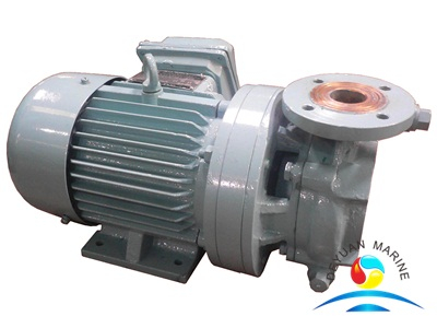 CWF Series 10m3/h Marine Horizontal Crushing Pump from China ...