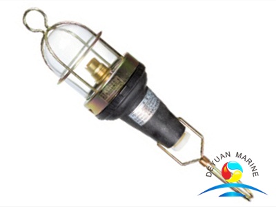 25W Marine IP55 Portable light CSD1 With Guard Transparent Color